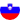 Slovenia flag icon