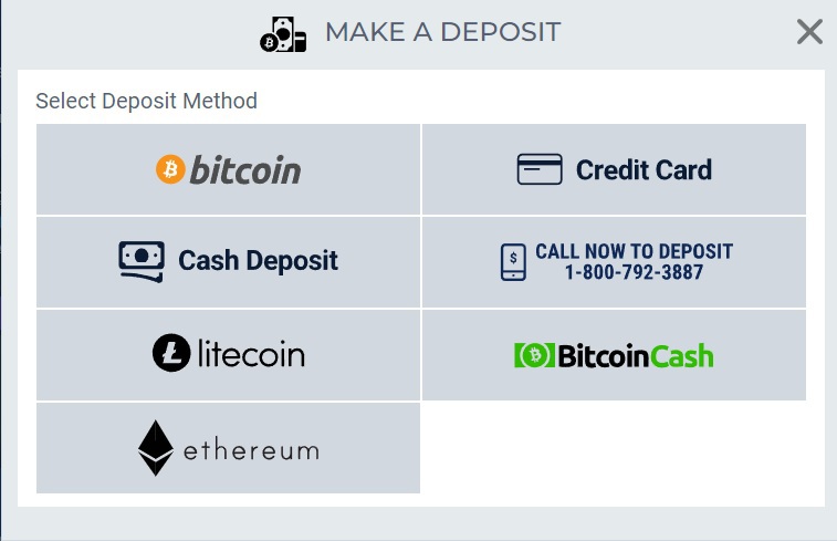 BetUS Deposit Screenshot