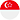 Singapore flag icon