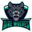 Dire Wolves League of Legends LoL Team Logo 64