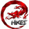 Hong Kong Esports Logo 2017