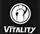 Invictus Gaming Vitality Dota 2 Team Logo