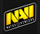 Natus Vincere Dota 2 Team Logo