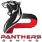 PANTHERS Gaming team logo csgo