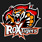 ROX Tigers Team Logo IEM Katowice 2017