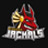 Team Big Gods Jackals NA CS Logo