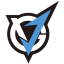 VGJ Storm Dota 2 Team Logo Big