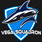 Vega Squadron Team Logo Rift Rivals 2017 42