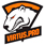 Virtus-Pro-Counter-Strike-Global-Offensive-CSGO-Team-Logo