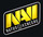 Natus Vincere Team Dota 2 Logo