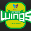 Jin-Air-Green-Wings-LCK-equipo-Logo