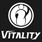 iG Vitality Dota 2 eSports Equipo Logo