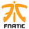 Fnatic Counter Strike Global Offensive CSGO Equipo Logo