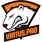 Virtus.Pro Dota 2 Equipo Logo