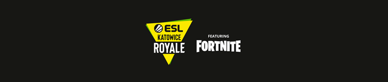 Fortnite Katowice 2019 Banner